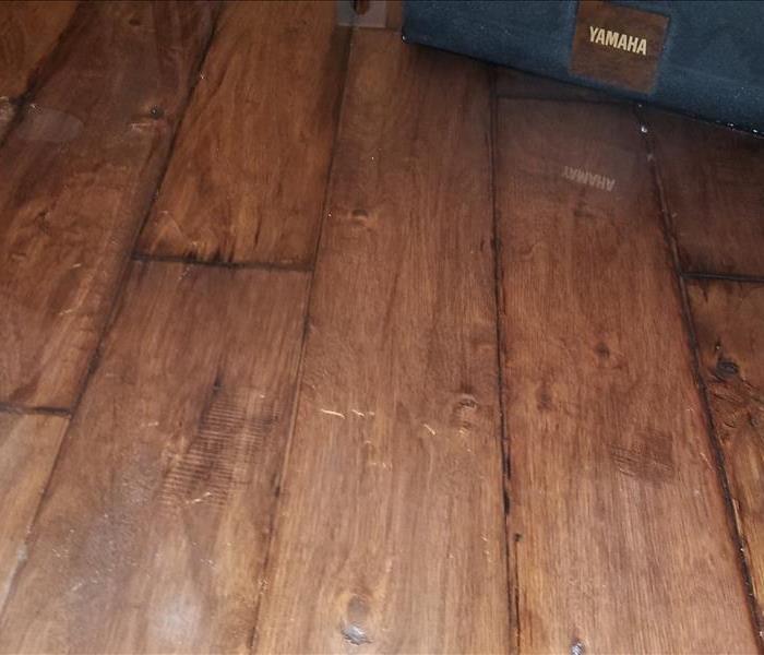 Photo is showing a speaker and part of an area rug sitting on a water damaged wood floor 