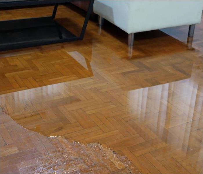 Photo is showing standing water on a floor with furniture in the room.